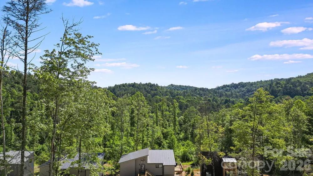 110 South Fork Trail #10 Lake Toxaway, NC 28747