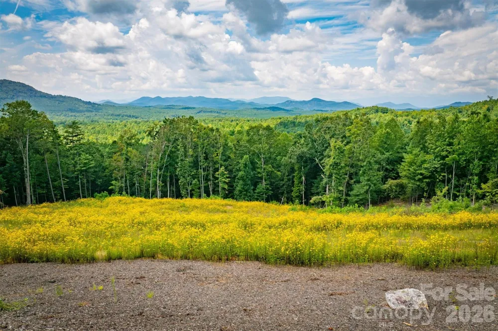 463 Summit Trail Nebo, NC 28761