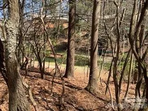 U6/L45 Ottaray Court Brevard, NC 28712
