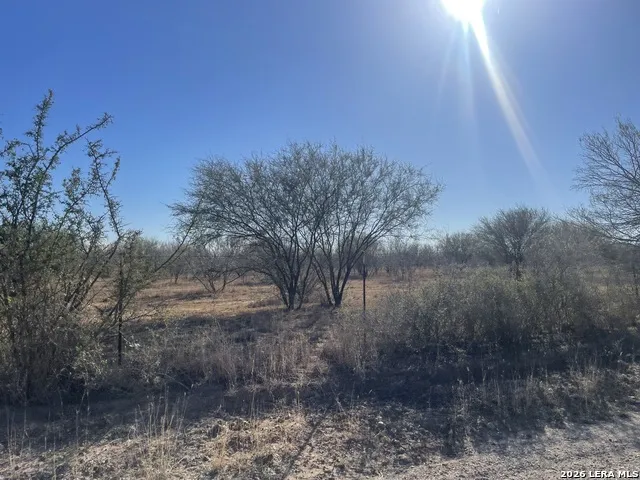 1432 CR 326 & CR 327 Jourdanton, TX 78026