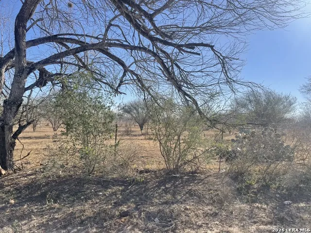 1432 CR 326 & CR 327 Jourdanton, TX 78026