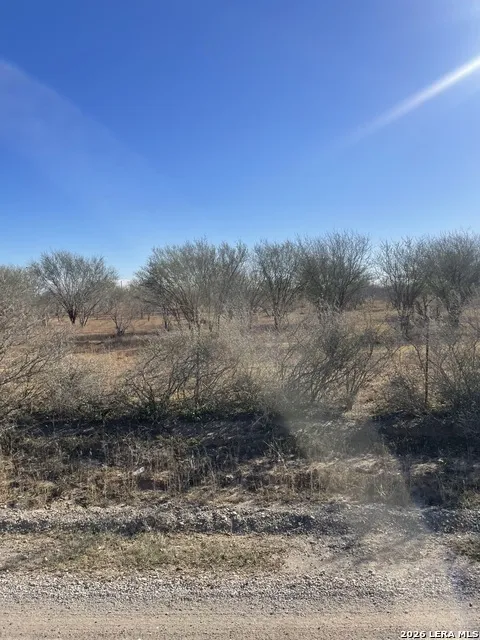 1432 CR 326 & CR 327 Jourdanton, TX 78026