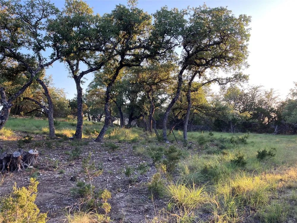 21501 Paine Avenue Lago Vista, TX 78645