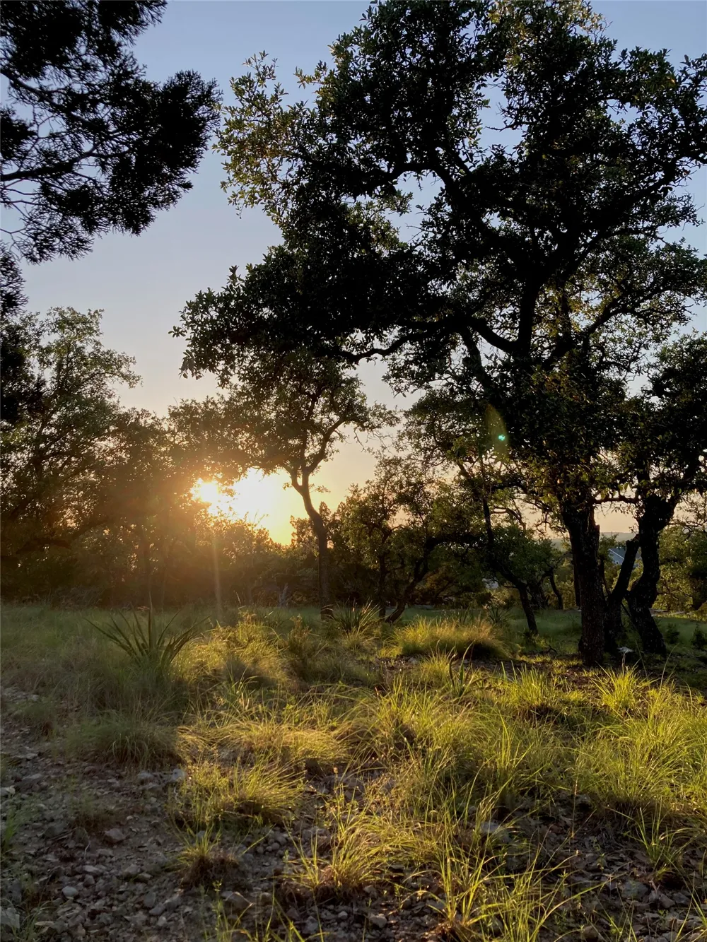 21501 Paine Avenue Lago Vista, TX 78645