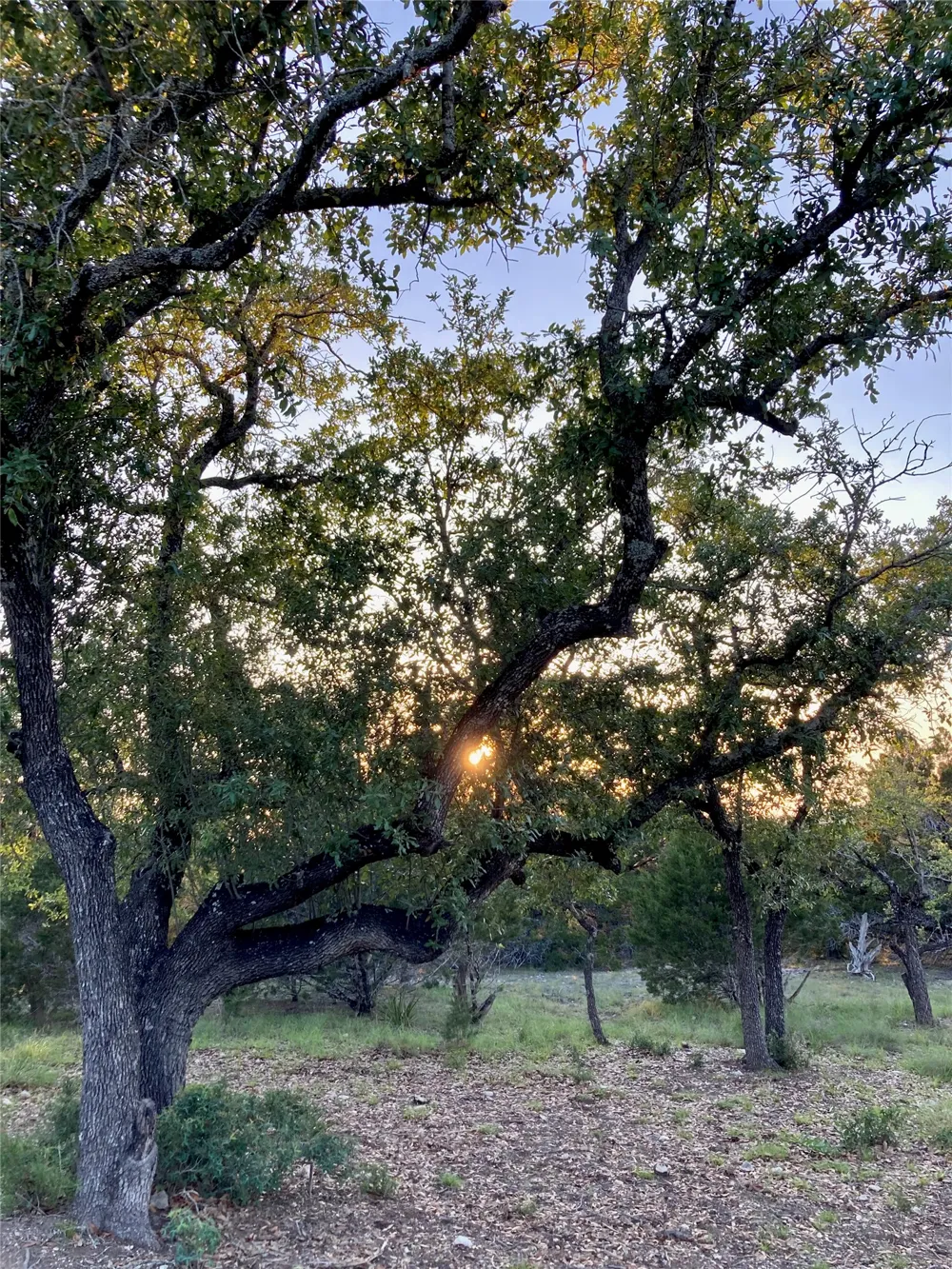 21501 Paine Avenue Lago Vista, TX 78645