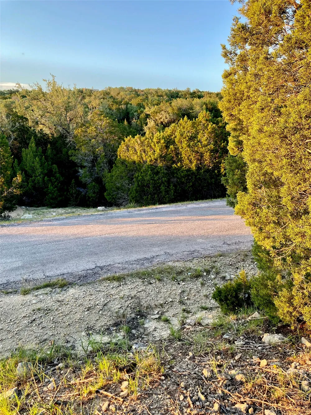 21501 Paine Avenue Lago Vista, TX 78645