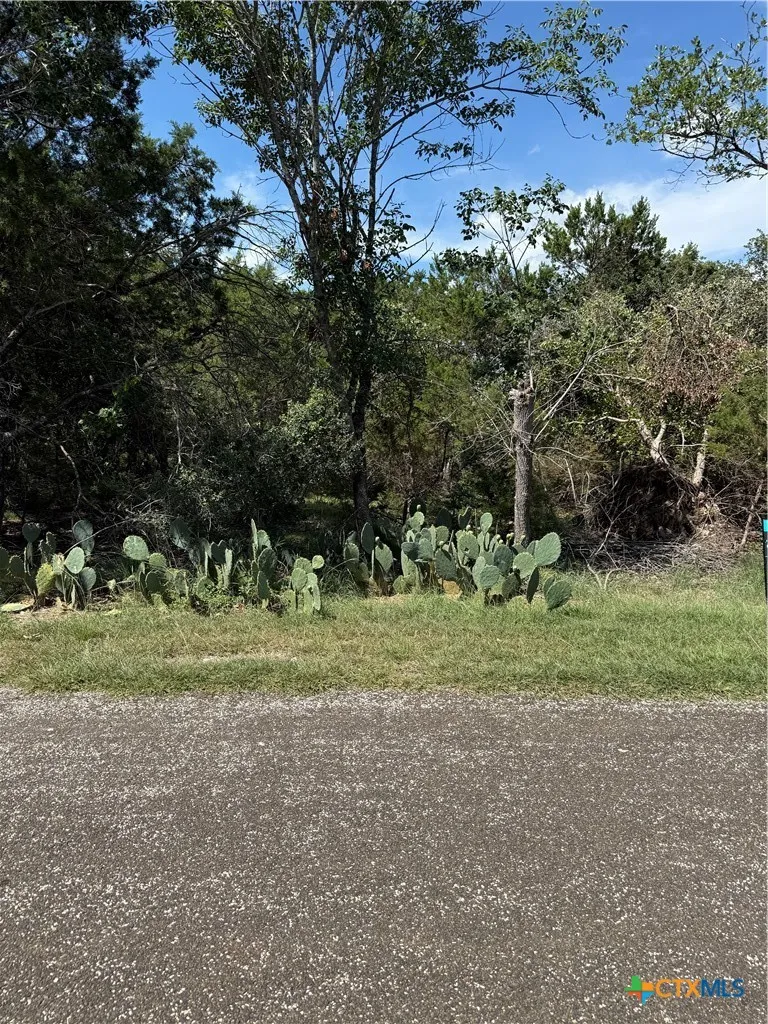 Elf Trail Belton, TX 76513