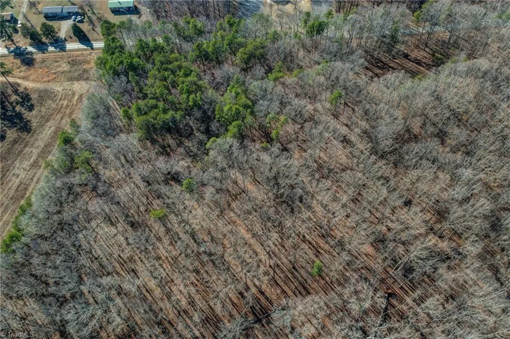 00 High Rock School Road Blanch, NC 27212