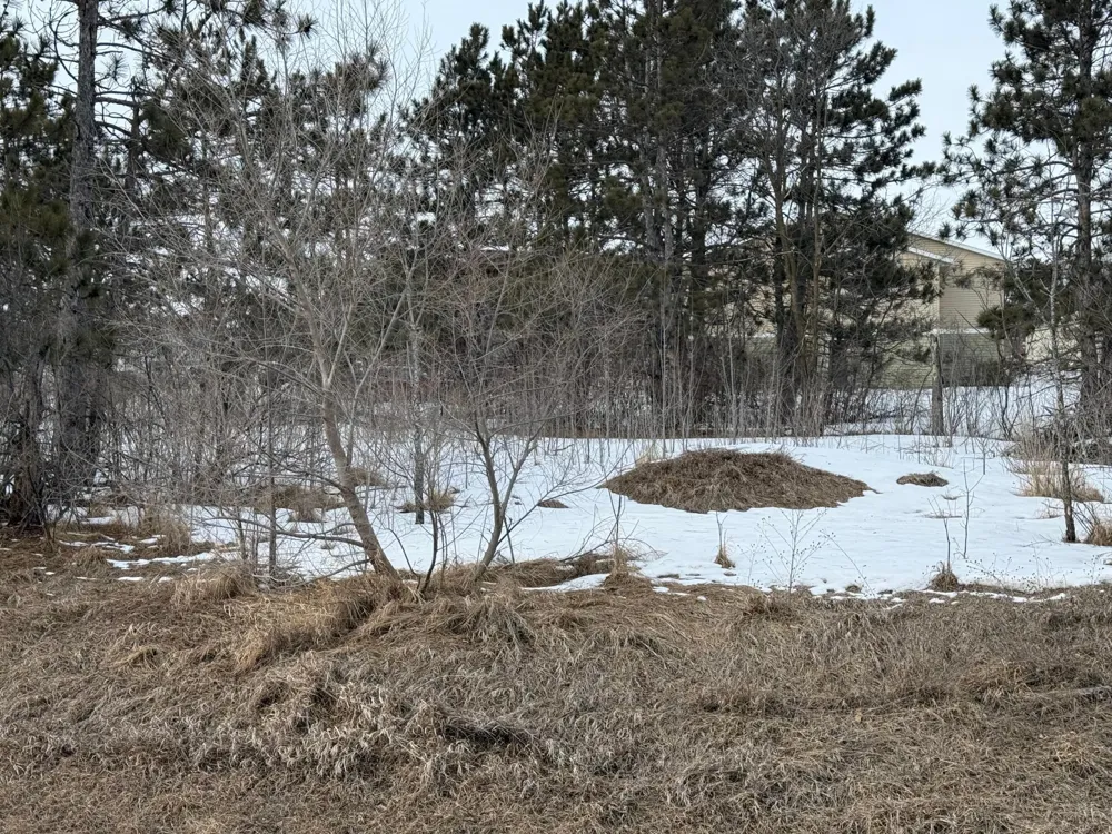 TBD Lakeside Drive Perham, MN 56437