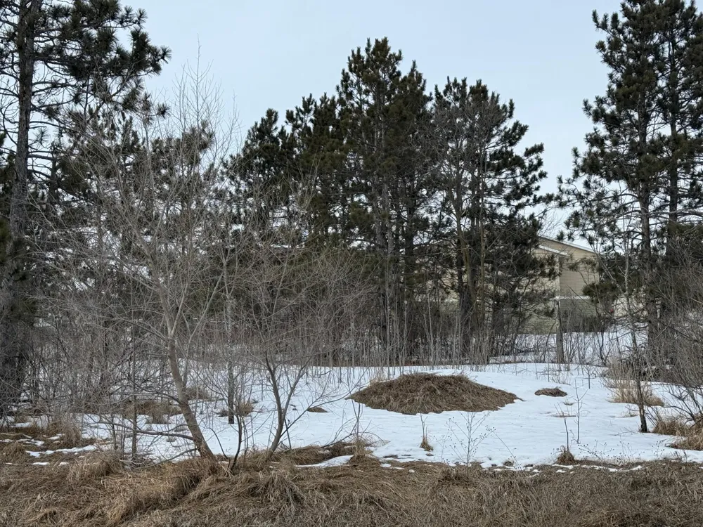 TBD Lakeside Drive Perham, MN 56437