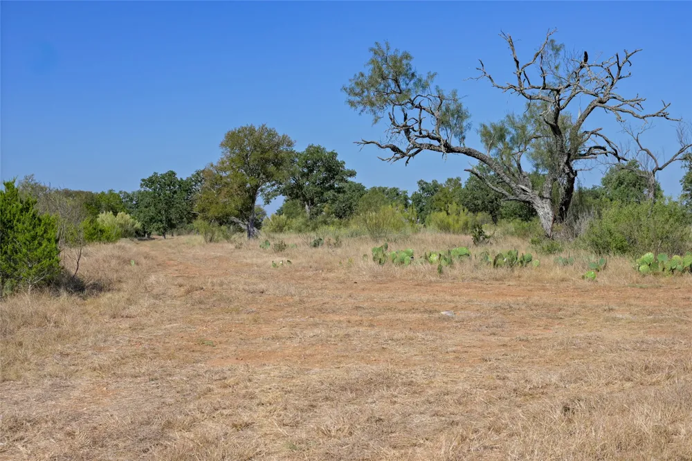 1033 Flying X Road Spicewood, TX 78669