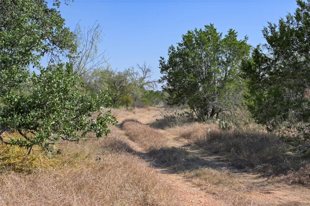 1033 Flying X Road Spicewood, TX 78669