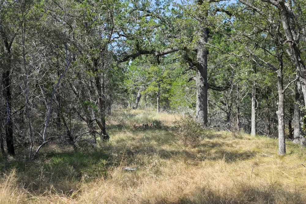 1033 Flying X Road Spicewood, TX 78669