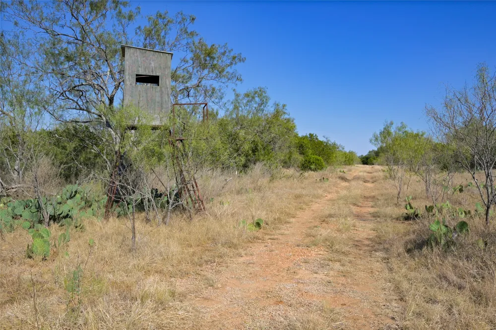 1033 Flying X Road Spicewood, TX 78669