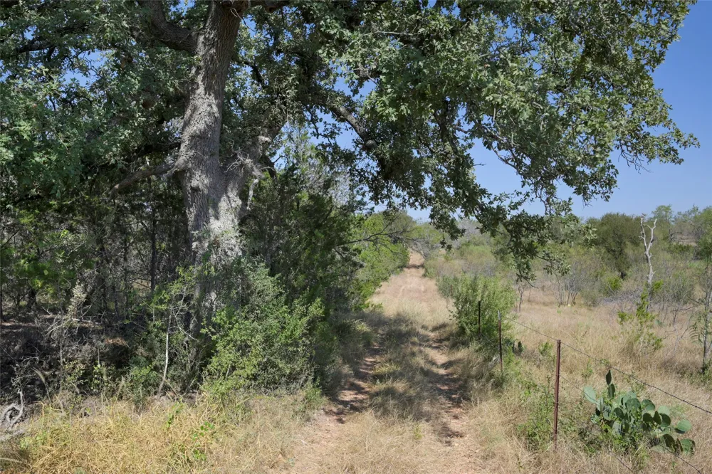 1033 Flying X Road Spicewood, TX 78669