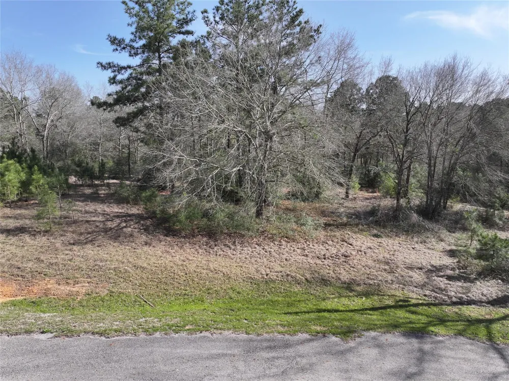 Steeplechase Parkway Waller, TX 77484