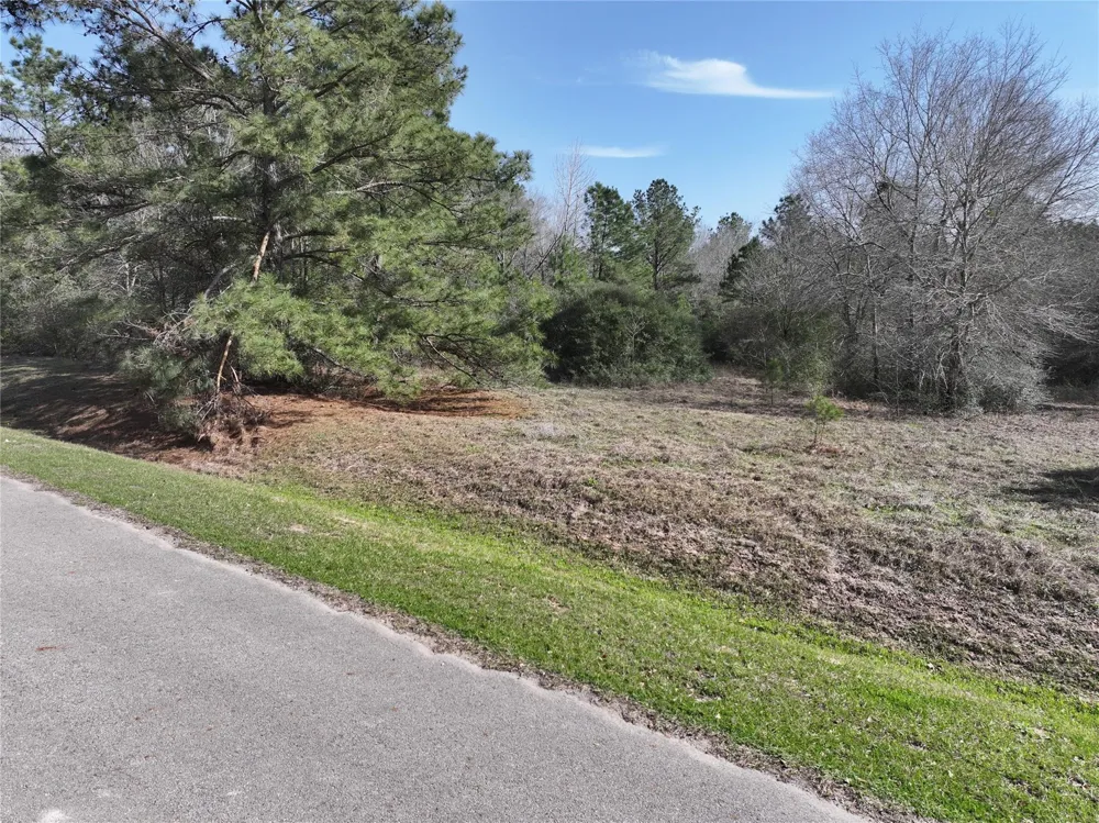 Steeplechase Parkway Waller, TX 77484