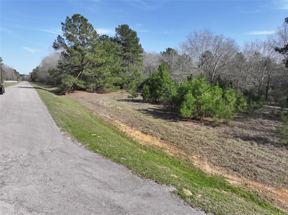 Steeplechase Parkway Waller, TX 77484