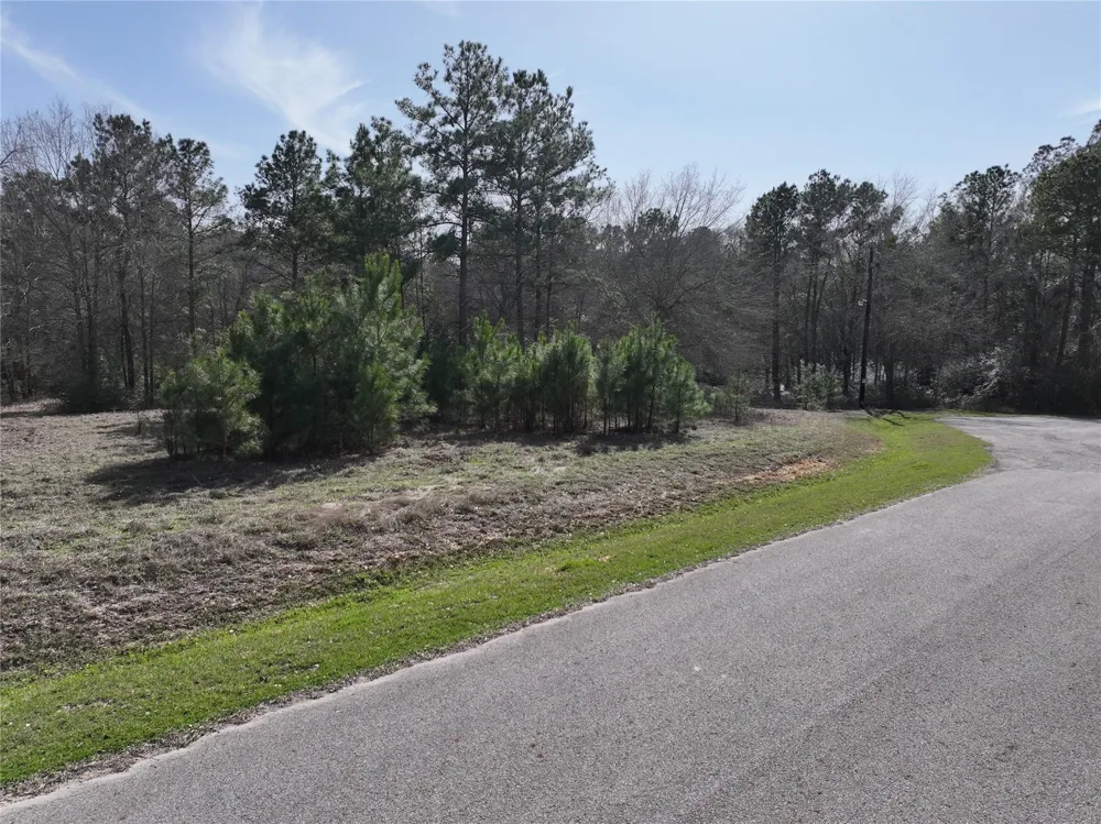 Steeplechase Parkway Waller, TX 77484