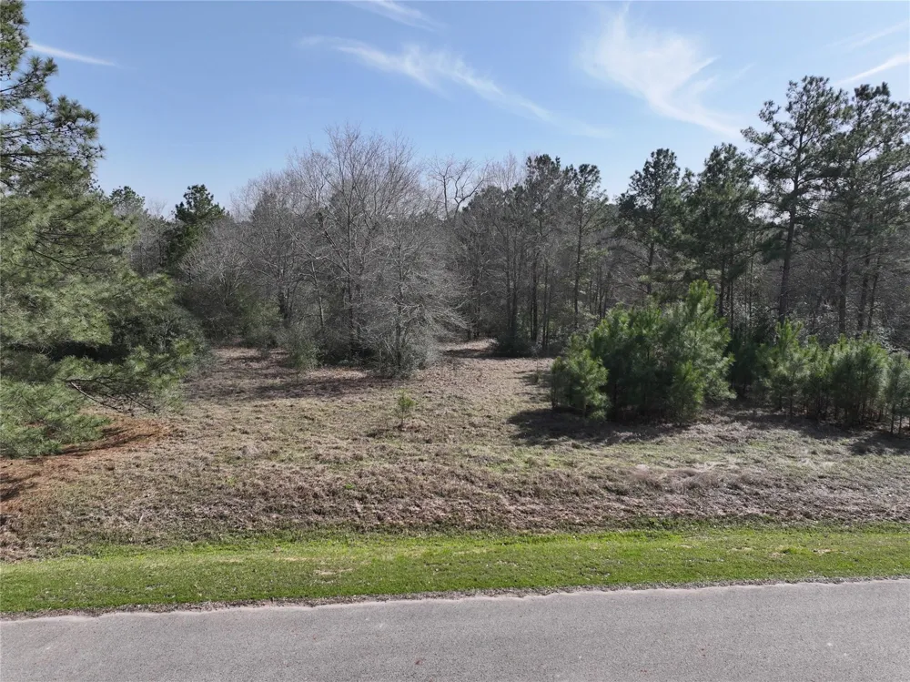 Steeplechase Parkway Waller, TX 77484