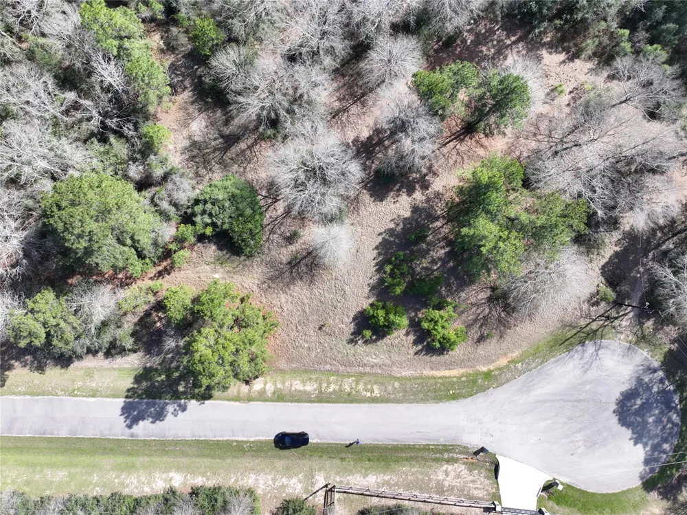 Steeplechase Parkway Waller, TX 77484