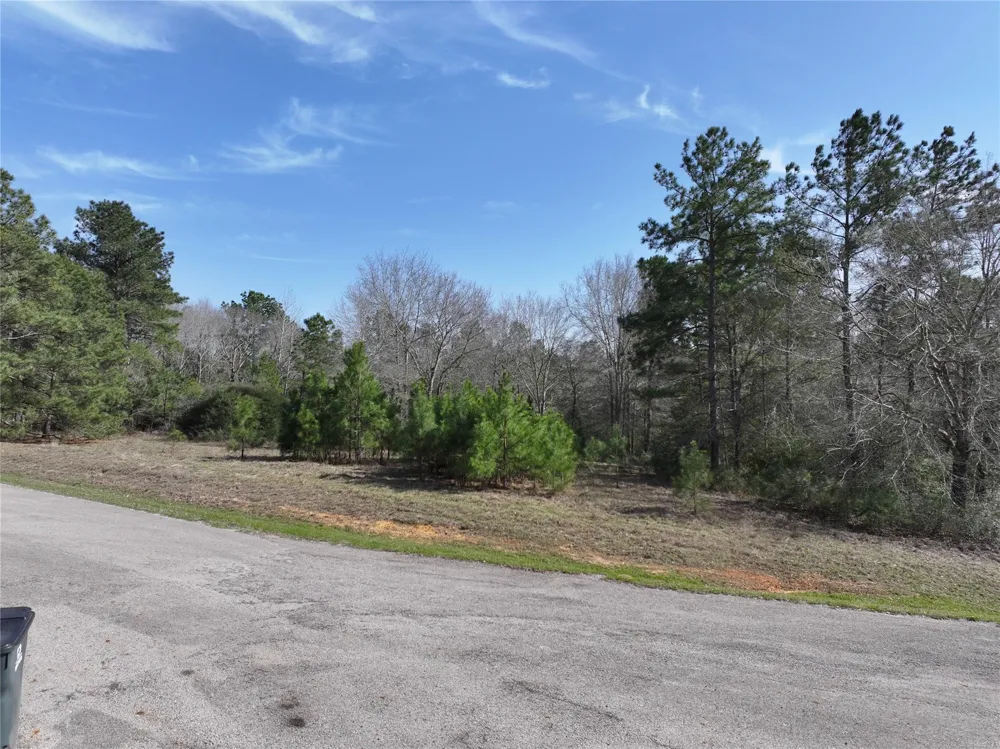Steeplechase Parkway Waller, TX 77484