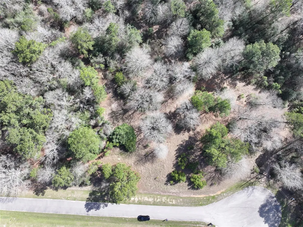 Steeplechase Parkway Waller, TX 77484