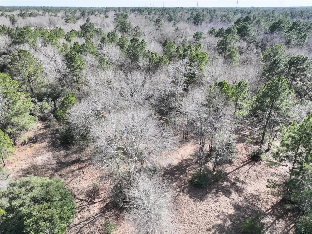 Steeplechase Parkway Waller, TX 77484