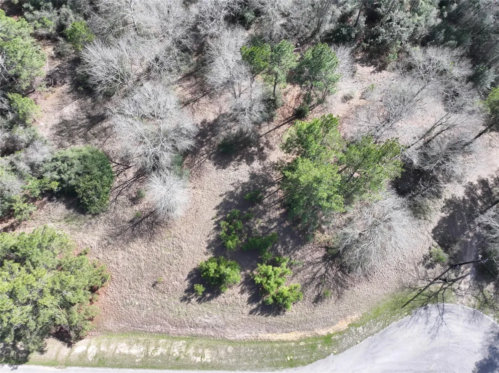 Steeplechase Parkway Waller, TX 77484