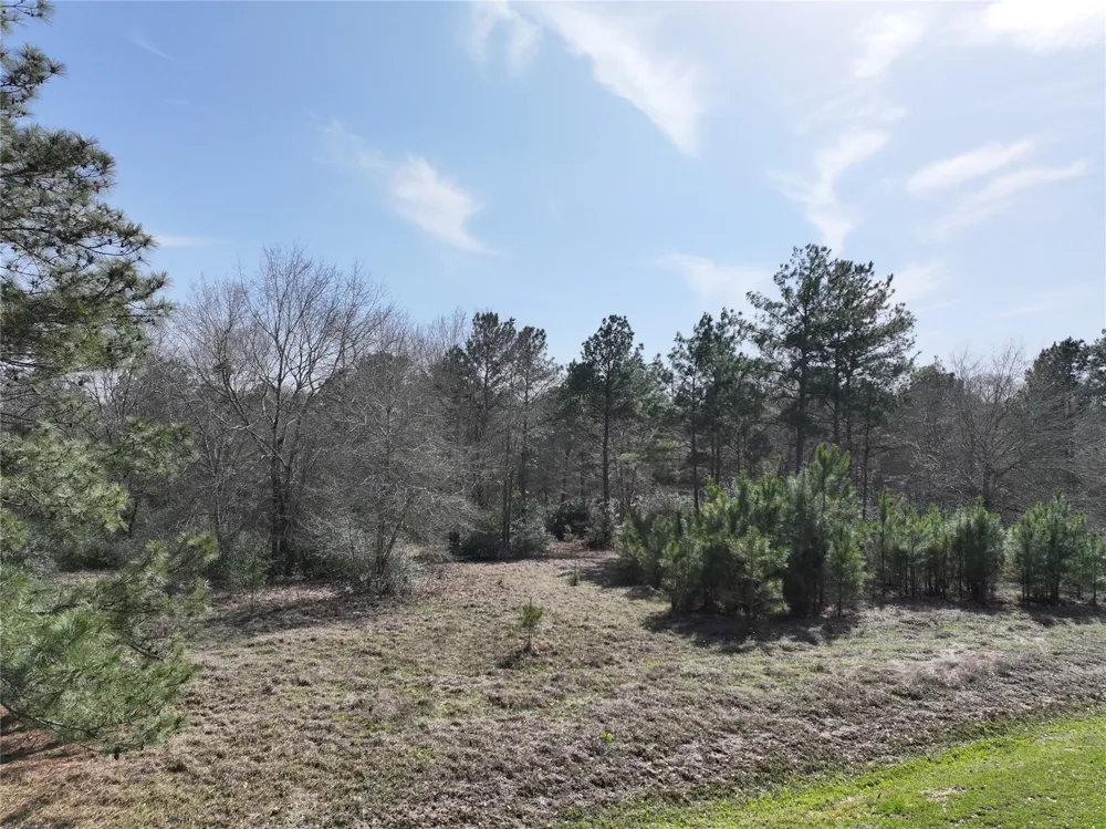 Steeplechase Parkway Waller, TX 77484