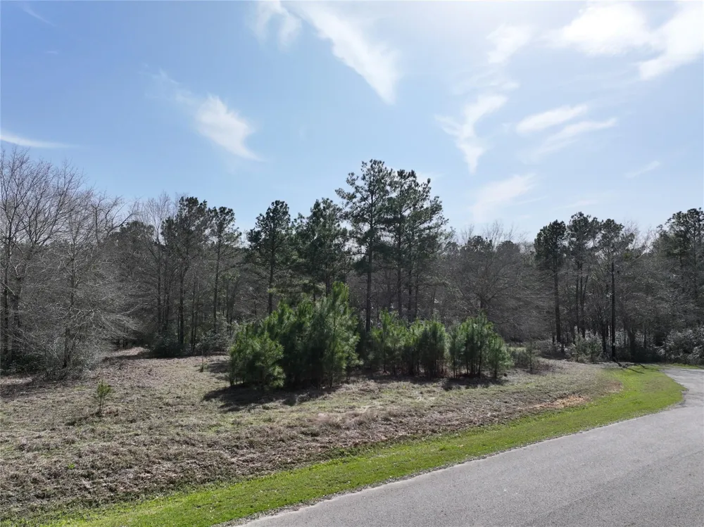 Steeplechase Parkway Waller, TX 77484