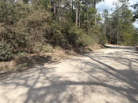 Little Ponderosa Drive