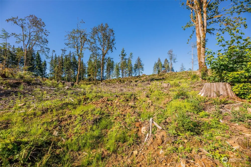 9005 Woods Creek Road Monroe, WA 98272