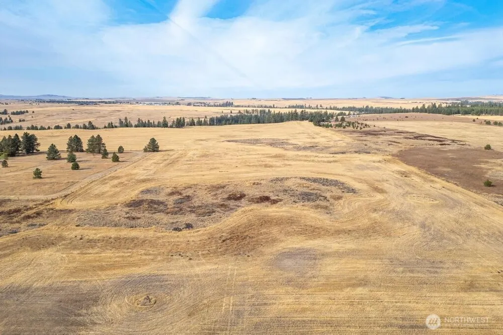 1000 Christensen Medical Lake, WA 99022