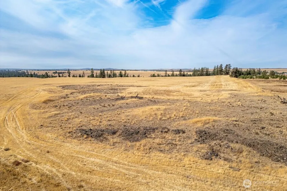 1000 Christensen Medical Lake, WA 99022