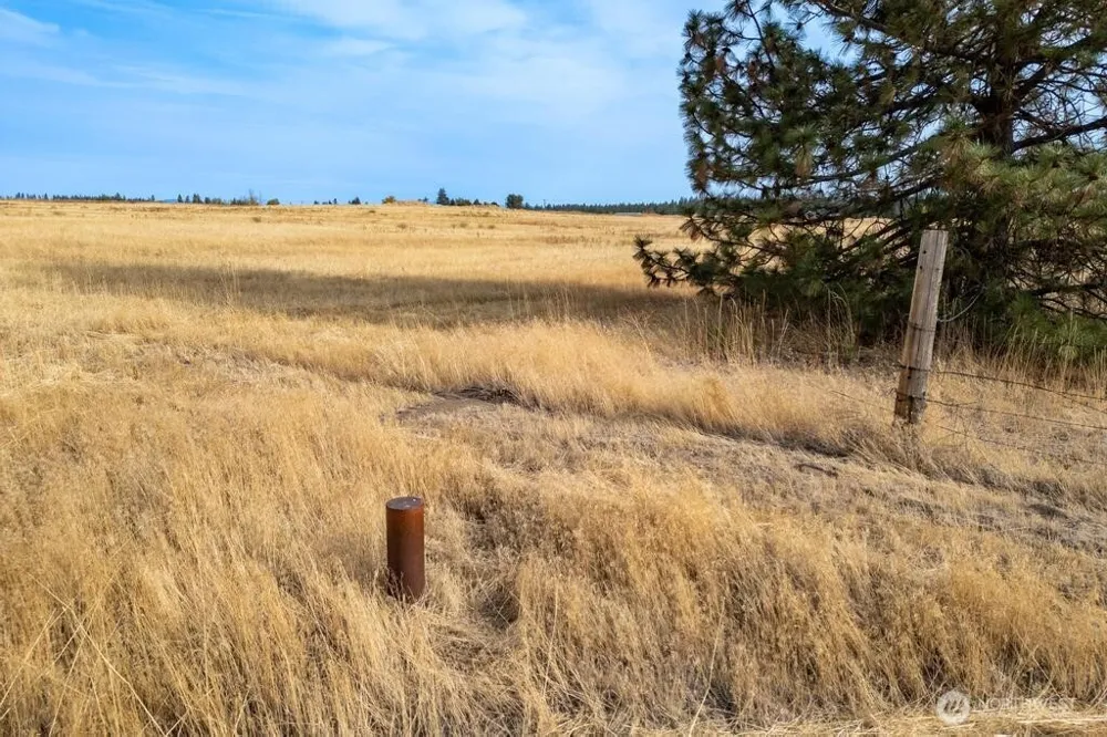 1000 Christensen Medical Lake, WA 99022