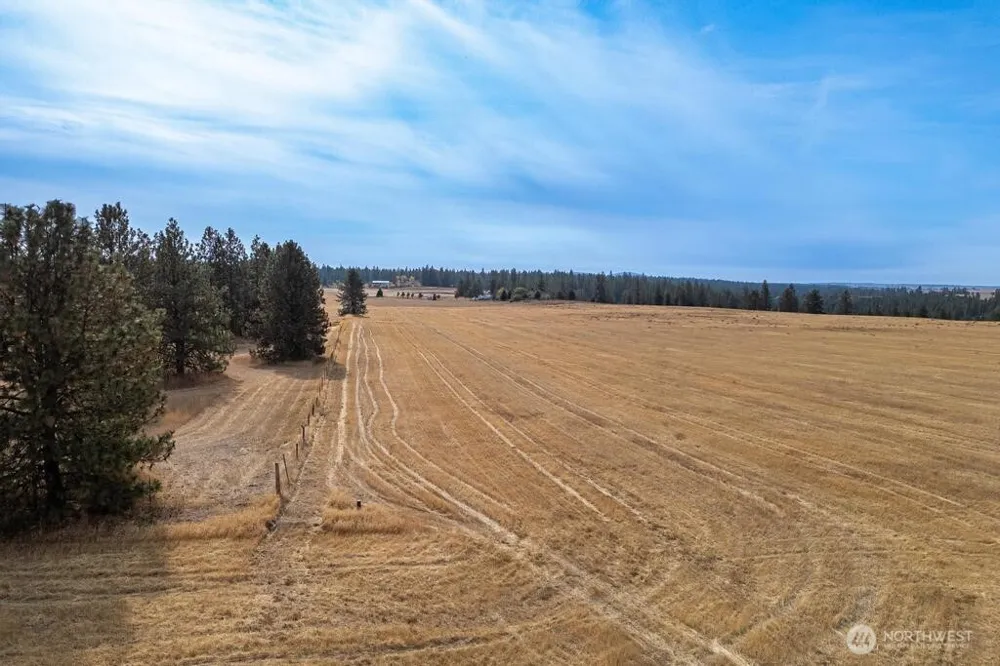 1000 Christensen Medical Lake, WA 99022