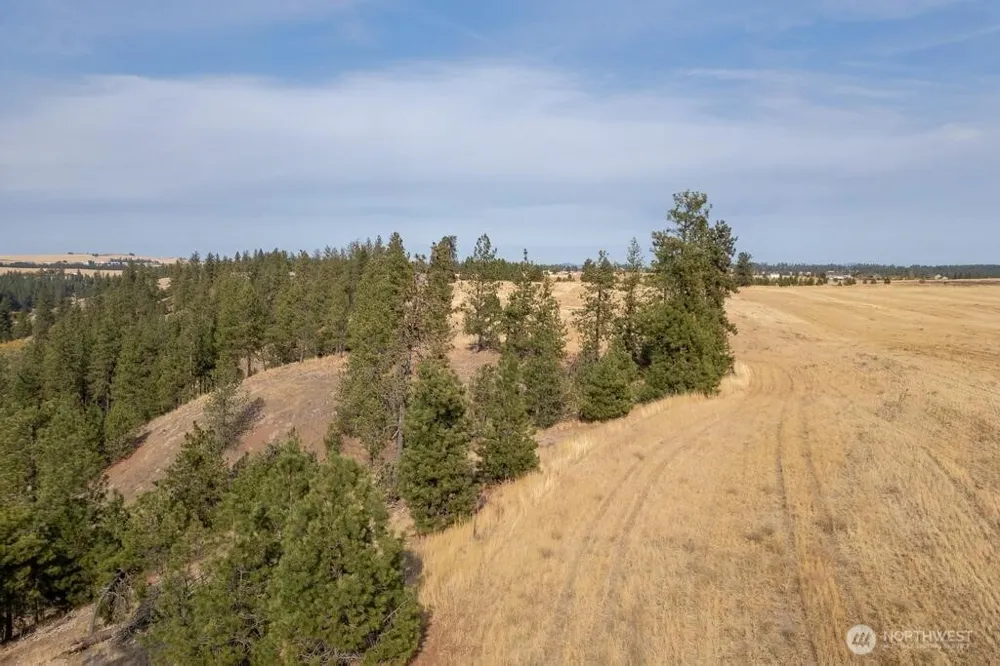 1000 Christensen Medical Lake, WA 99022