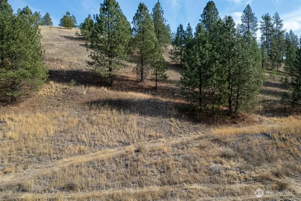1000 Christensen Medical Lake, WA 99022