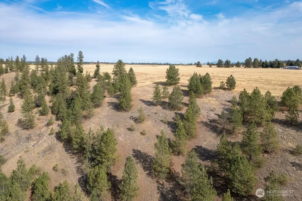 1000 Christensen Medical Lake, WA 99022