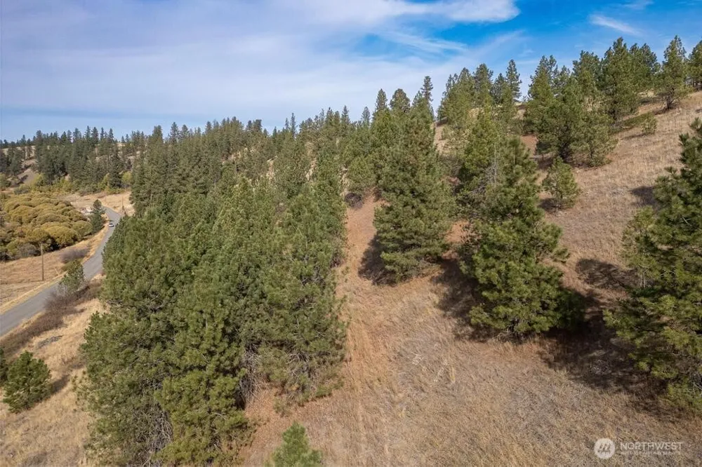 1000 Christensen Medical Lake, WA 99022