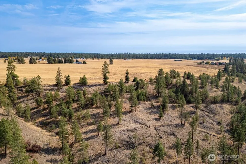 1000 Christensen Medical Lake, WA 99022