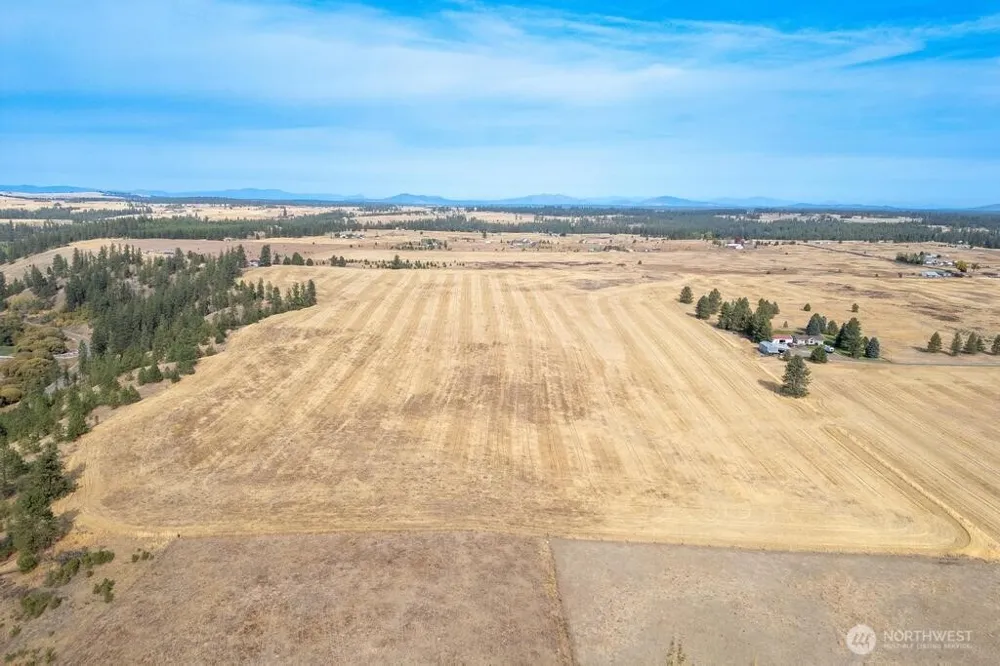 1000 Christensen Medical Lake, WA 99022
