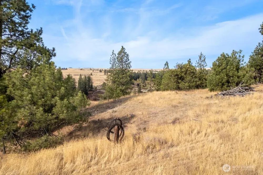 1000 Christensen Medical Lake, WA 99022