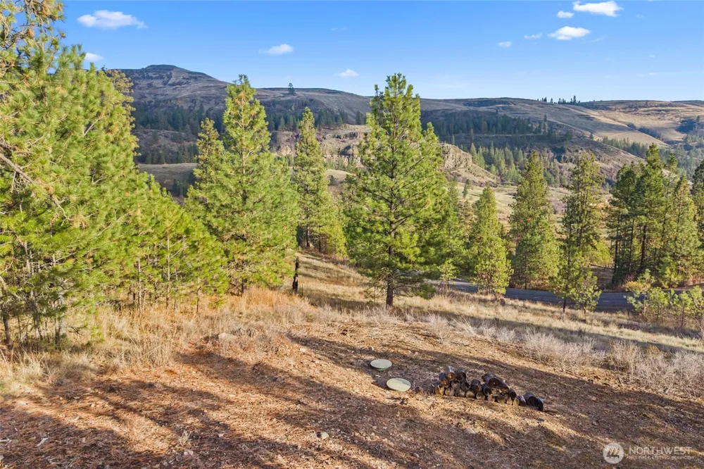 31741 Ringneck Lane E Davenport, WA 99122