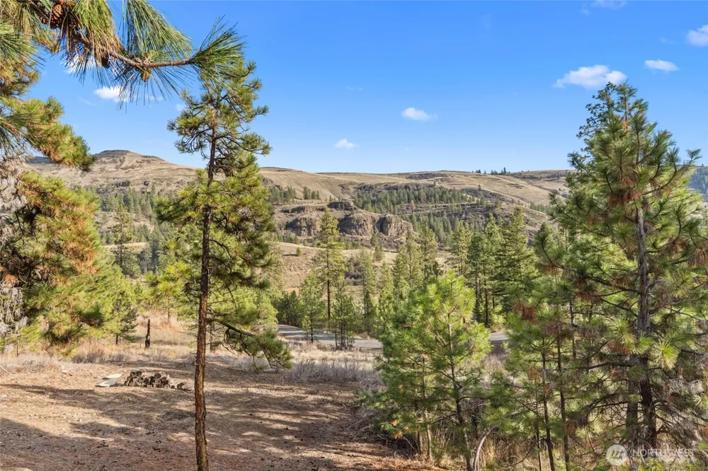 31741 Ringneck Lane E Davenport, WA 99122