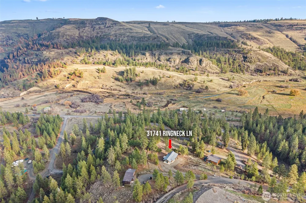 31741 Ringneck Lane E Davenport, WA 99122
