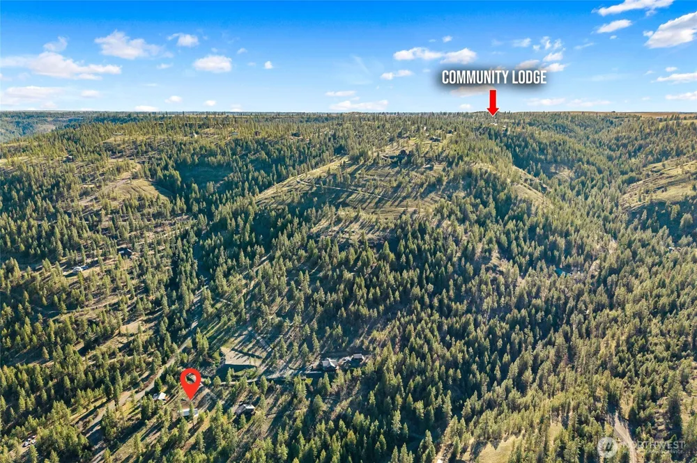 31741 Ringneck Lane E Davenport, WA 99122