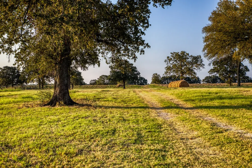 3096 Happy Swaner Lane Axtell, TX 76624