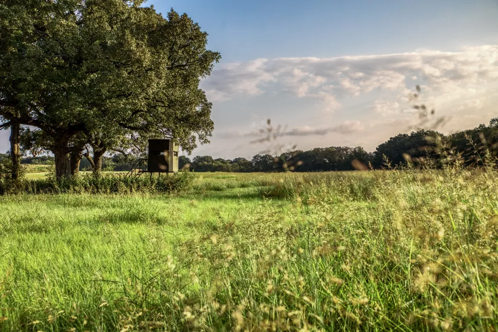 3096 Happy Swaner Lane Axtell, TX 76624